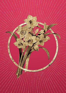 Gold Chinese Sacred Lily