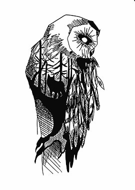 owl