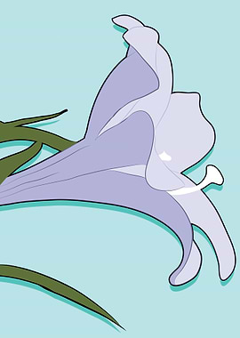 Illustration of a Lily