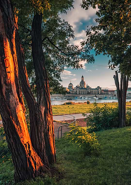 View of Dresden