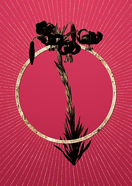 Gold Lily on Viva Magenta