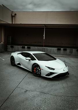 white lamborghini