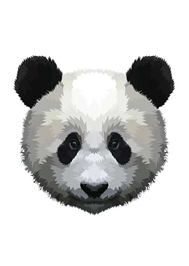 Panda head on a white