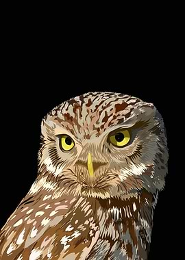 Elegant in the night