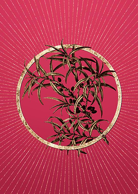 Gold Common Sea Buckthorn