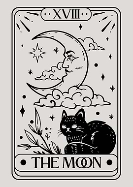 cat and the moon