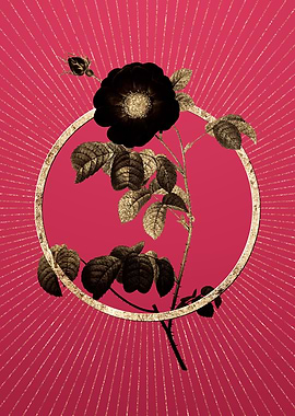 Gold Rose on Viva Magenta