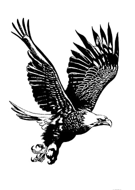 eagle