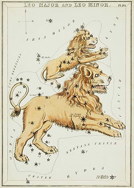 Leo Chart