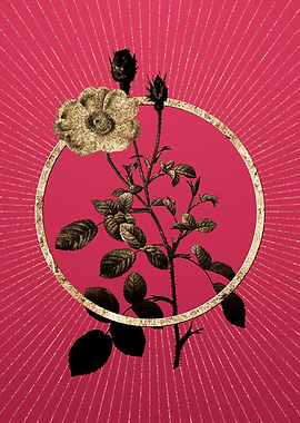 Sparkling Rose on Magenta