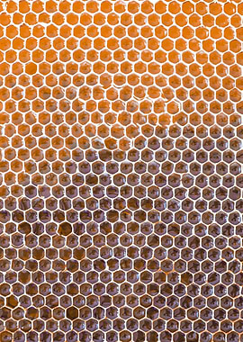 honeycomb