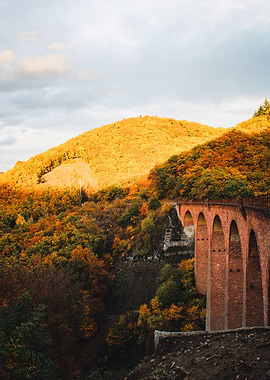 Autumn forest and bridge