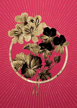 Gold Cranes Bill Geranium