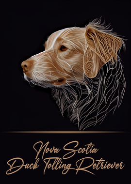Nova Scotia Retriever