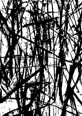 Black and White Abstract