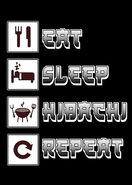 Japan Hibachi Grill Gift