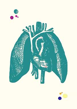Heart and Lungs