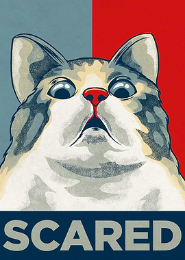 Scared Cat Meme