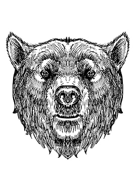 Bear head