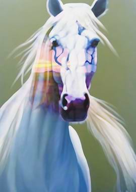 White Horse