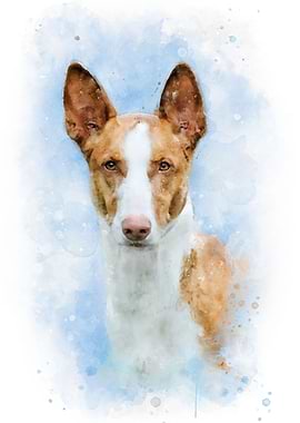 Podenco Ibicenco art