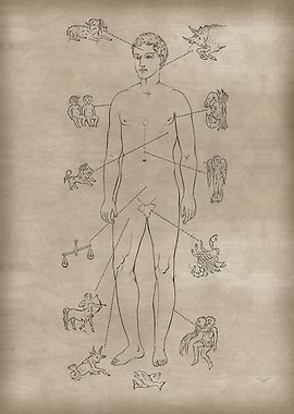 Men Horoscope Planets