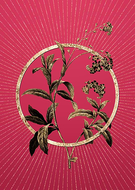 Gold Water Forget Me Not