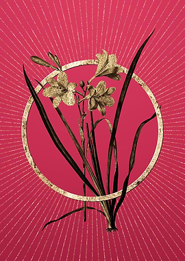 Daylily on Viva Magenta