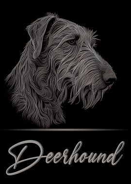 Scottish Deerhound