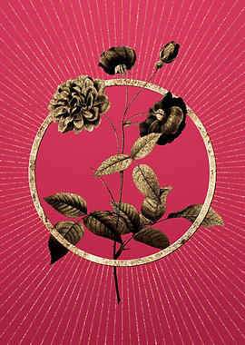 China Rose on Viva Magenta