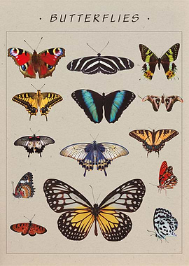 Butterflies Science Art