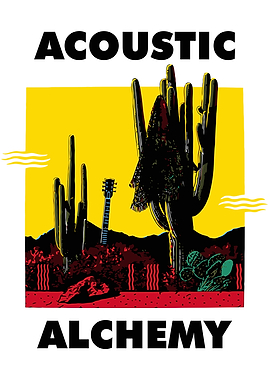 Acoustic Alchemy Band