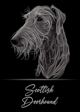 Scottish Deerhound