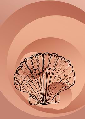 Sea shell