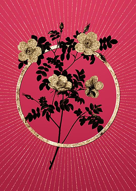 Gold White Candolles Rose