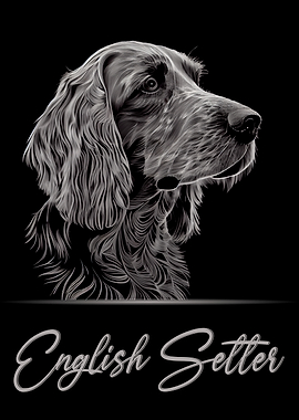 English Setter Portrait