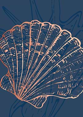 Sea shell