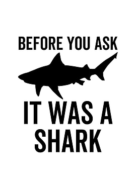 Before You Ask It Was a