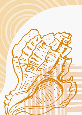 Sea shell