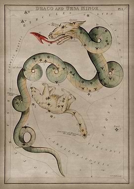 Draco and Ursa Minor