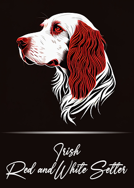 Irish Red and White Setter