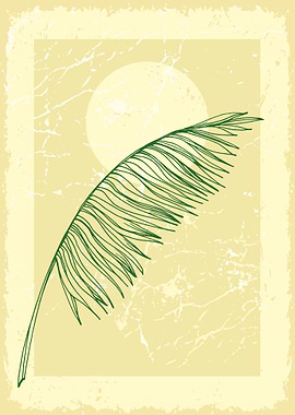 Tropical palm