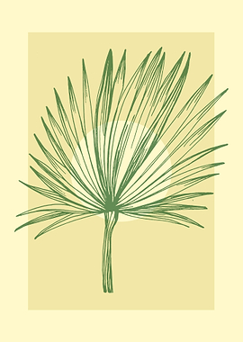Tropical palm