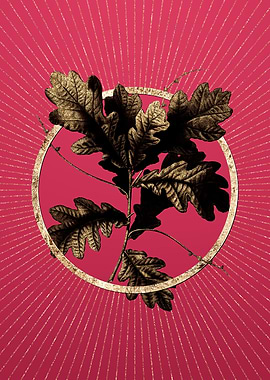 Viva Magenta English Oak