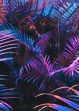 Tropical Blues