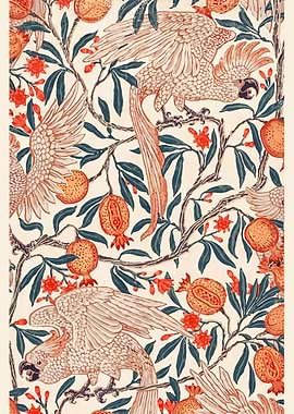 Cockatoo and Pomegranate