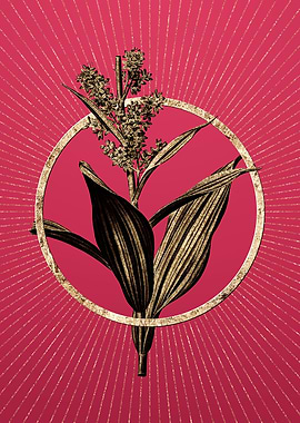 Gold False Helleborine