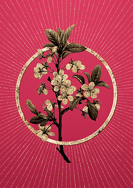 Gold White Plum Flower