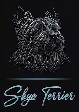 Skye Terrier Portrait