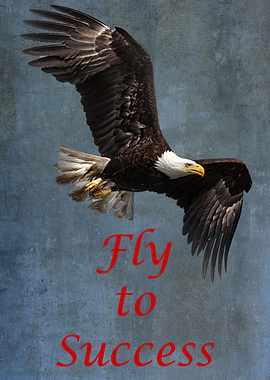 Fly to Success